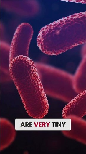 How Nanoparticles Could Change Medicine | Ryan Pearson