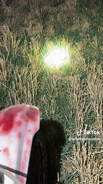 wilderness alone (@wildernessalone)’s videos with 原创音乐 - wilderness alone