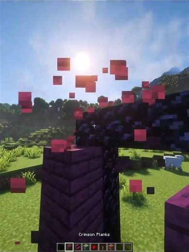 #memeanimation