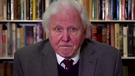 Attenborough gives stark warning on climate change to UN