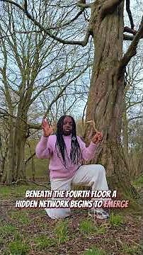 Izzy Explains Trees: Broadleaves vs Conifers 🌳