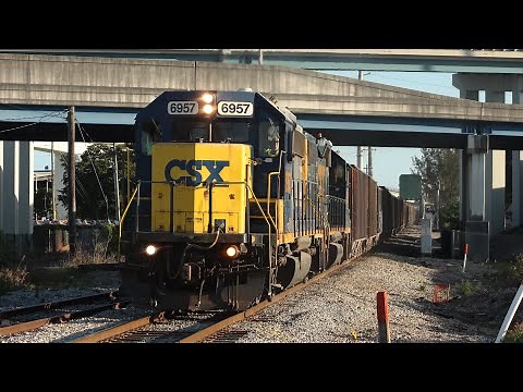 CSX Miami Train Compilation!