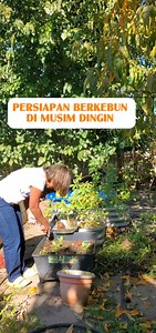 Kadang bikin kesal, pas lagi butuh mala gak nampak. Remote kami sampe sekarang tidak tau dimana 🤪🤪🤪🤪 | Mak Domu di California