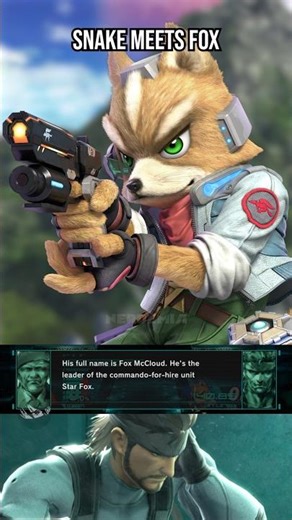 Snake has had enough of foxes: Smash Bros. Codec Conversation