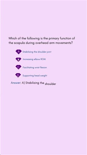 Which of the following is the primary function of the scapula during overhead arm movements