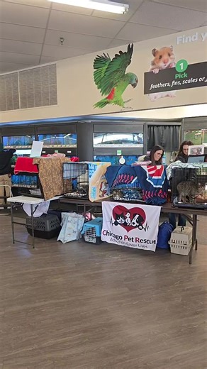 Chicago Pet Rescue on Reels
