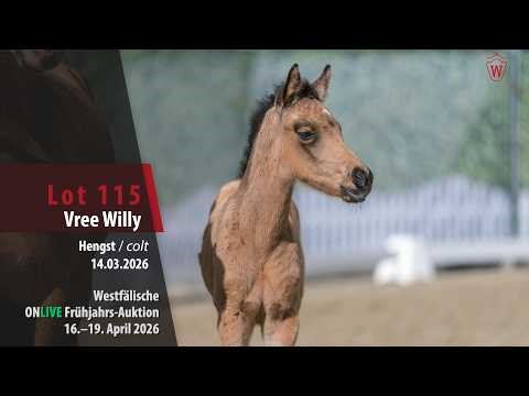 ONLIVE Frühjahrs-Auktion Katnr. 115 Vree Willy Hengst v. Voice of Germany - Golden Challenge H