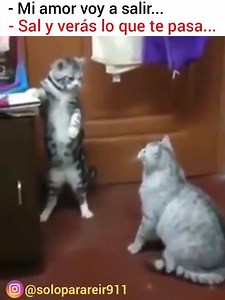 Amazing pictures on Reels