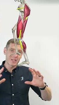 Master Anterior Knee Pain with Our AKP Online Course!🦵