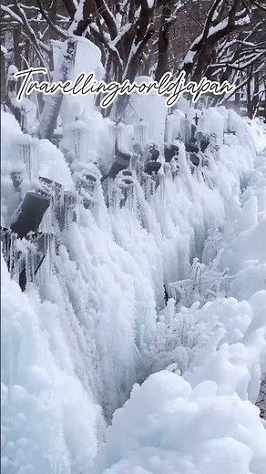 Winter Vibes in Japan ❄️ | Magical Snowy Moments #traveljapan