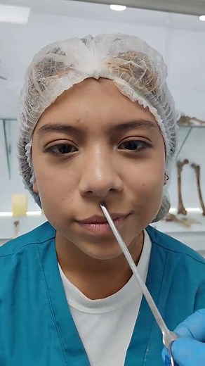 Músculos Faciales y Sus Funciones Mimicas