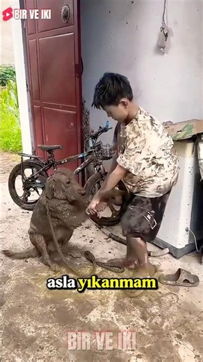Annem Gelmeden Her Şeyi Yıkadık! 🚿🧼