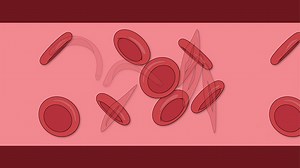 Video: Multiple Allele Traits
