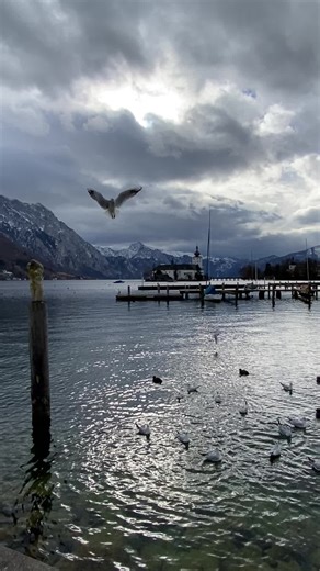 📍Gmunden,Austria #austria #landscape #view #natur #fyp