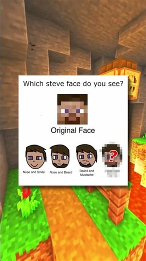 Which steve face do you see?