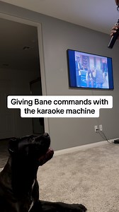 I think I’ll get mom a new Karaoke machine for Christmas 🤶🏾 #raisingbane | Raising Bane