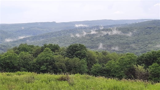 Proposed forest plan in Pennsylvania addresses variety of challenges and needs