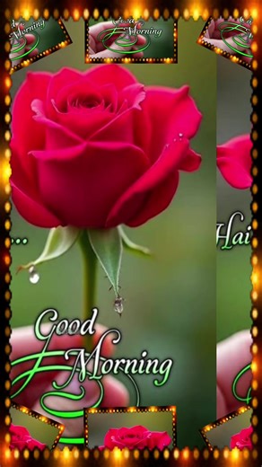 Ian k R (@ian.k.r)’s videos with original sound - bofbuys