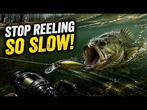 The Cold Water Lie: Why You’re Catching Nothing Right Now