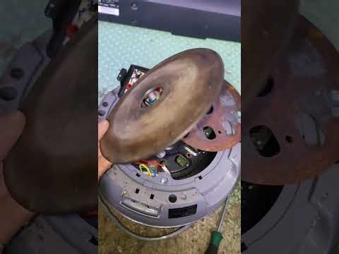 Electric Steamer Not Heating? Fix It Fast