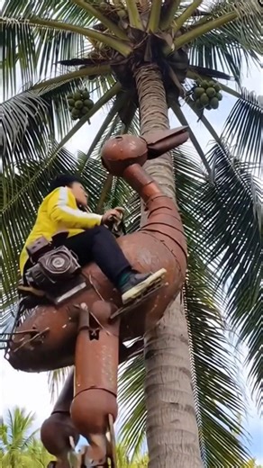 Robot Climbing a Coconut Tree #ขำๆ #ตลก #funny #vfx