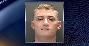 Dog-watcher arrested on animal cruelty charges