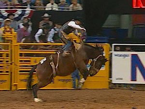14K views · 618 reactions | Rod Hay on Sankey Pro Rodeo’s #208 Wild Card during round 5 at the 2003 National Finals Rodeo for 87.5 points. | All Things Roughstock | Facebook