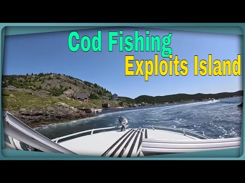 Resettled Community Exploits Island For Cod Fishing and Discuss Our Farming EP. 162