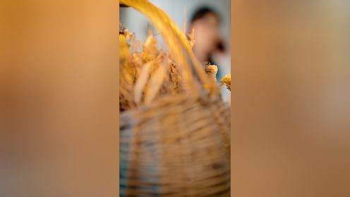 纸短情长终成空_高清1080P在线观看平台