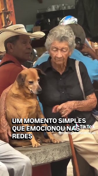 Human and Dog Bond: Oxytocin, Cortisol Reduction, and Presence