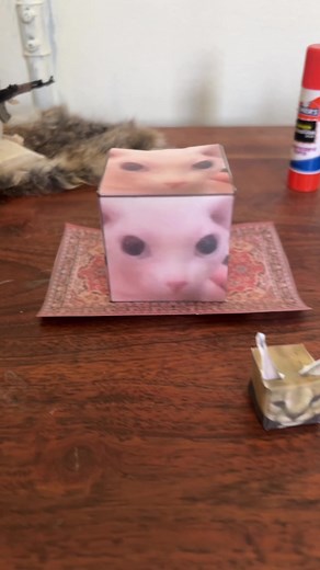 Raise a Floppa en la vida real