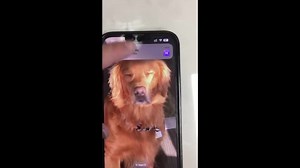 Personalized NFC Keychain: Laser-cut Acrylic Tag, Social Media Link - Etsy