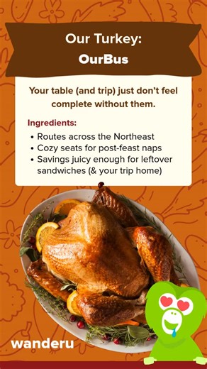 Wanderu on Instagram: "The kitchen might be chaotic, but with @rideourbus your ride doesn't have to be. Snag your tickets with Wanderu before they get gobbled up! #groundtravel #bustravel #traintravel #wanderu #groundtransportation #bus #train #travel #turkeyday #thanksgiving #thanksgivingtravel"