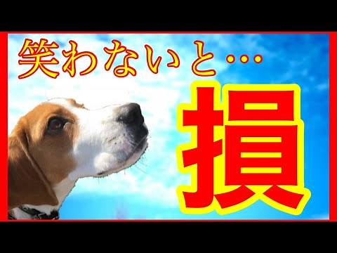 笑える話 楽しい話 ネットの面白い話総まとめ 爆笑エピソード PART3