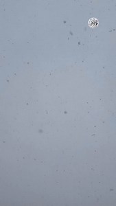 Playing a friendly today at 14:00H, against RFC Seraing 🤝 | AFC Ajax