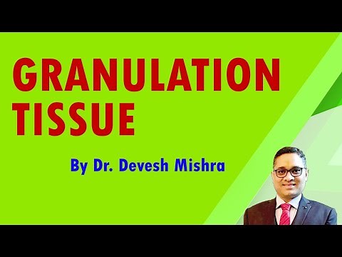 Granulation tissue by Dr. Devesh Mishra