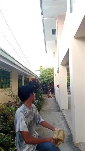 #sidethrow #studentathlete #viralvideo #baseballboys #creatorsearchinsights