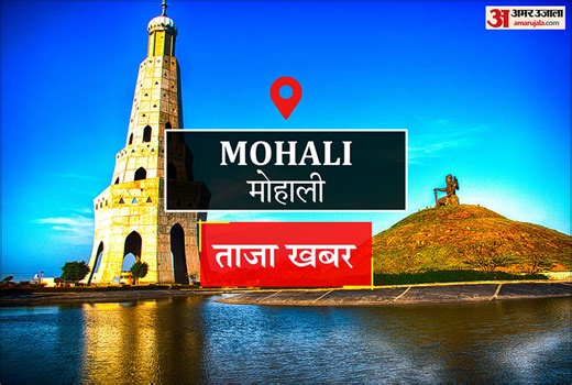 Mohali News: इमिग्रेशन कंपनी ने की दो लाख की धोखाधड़ी, काम बंद करने का आदेश