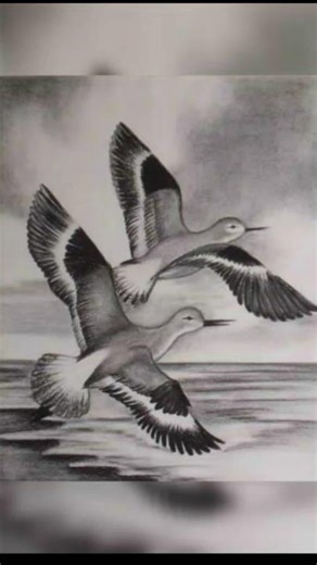 Bird sketch drawing #flyingbirds # shorts #birds