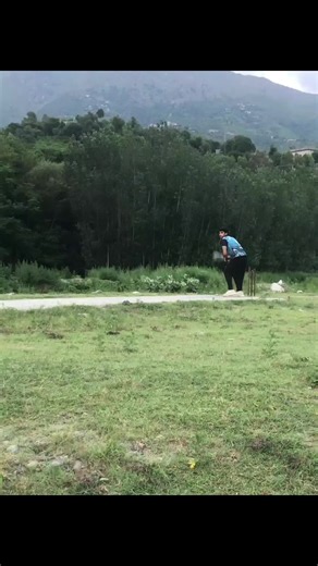 Exploring TikTok Creator Search Insights