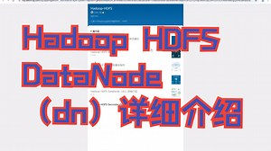 Hadoop HDFS-DataNode（dn）详细介绍