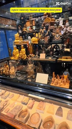 Oxford University Museum of Natural History🇬🇧 England