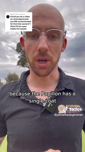 Top 3 Small Dog Breeds for First Time Owners