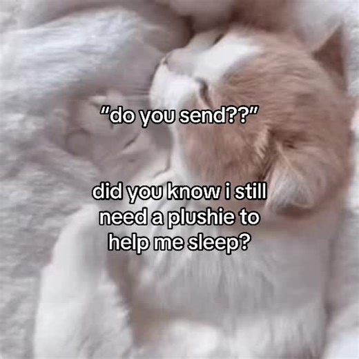 i hate ppl #fyp #vent #plushie #insomnia | stuffed animal