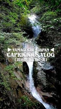 🏞️【寂地峡・五竜の滝】・山口県岩国市錦町宇佐#山口県 #神社 #わたしのやまぐち時間 #YAMAGUCHI #JAPAN
