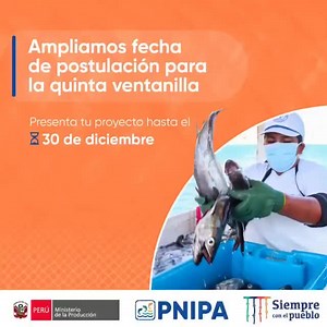 📌CONVOVATORIA|| El Programa Nacional de Innovación en Pesca y Acuicultura, PNIPA, amplia fecha de postulación hasta el 30 de diciembre, para participar de la última convocatoria "Quinta Ventanilla 2020- 2021", que financiará un proyecto de innovación pesquera y acuícola del país. Para postular ingresa a https://pnipa.gob.pe/ Más información en el siguiente vídeo 👇. | Cutivalú.pe