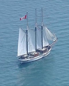 326K views · 7.3K reactions | Check it out! Tall ships are back in Detroit this weekend for the Sail Detroit Festival, and you can tour them! Learn more here: https://www.wxyz.com/news/tall-ships-arrive-in-detroit-for-sail-detroit-festival | WXYZ-TV Channel 7 | Facebook
