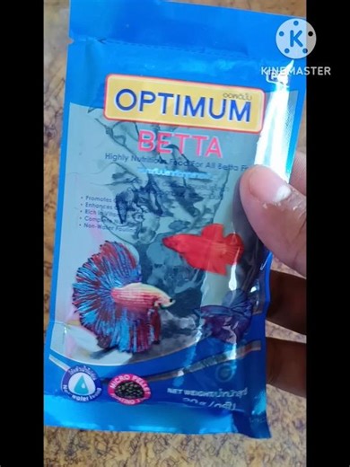 the best fighter fish food #fish #aquarium 🐠