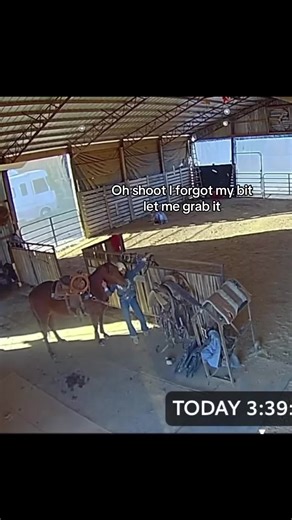I’m not the smartest… #horses #barns #horsesontiktok | horses