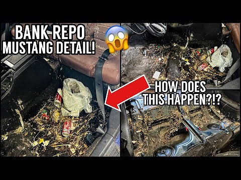 Deep Cleaning The Worlds NASTIEST Ford Mustang | Insanely Satisfying Car Detailing Transformation!